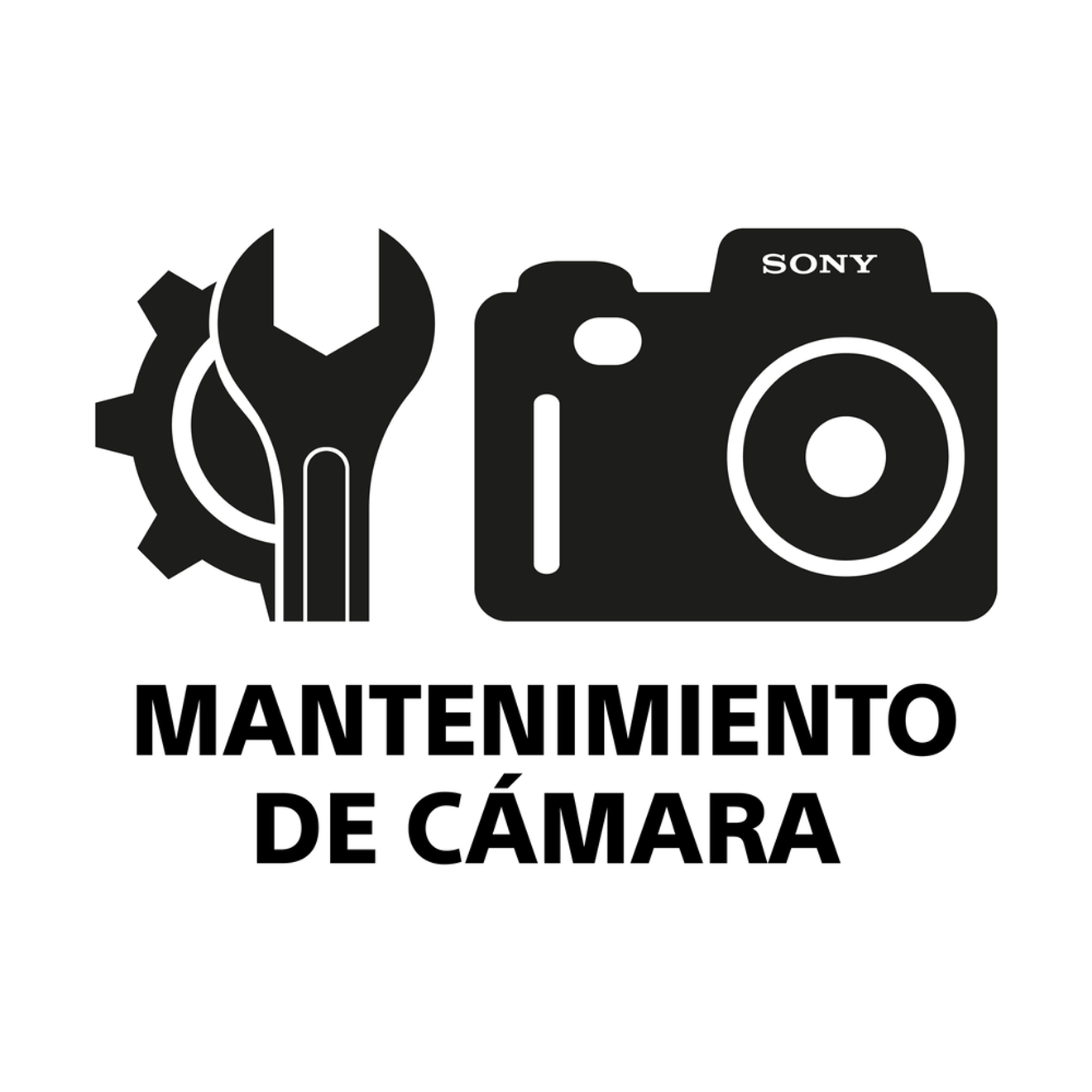 Mantenimiento-Camaras-Final--RE-re